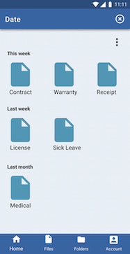 organize file